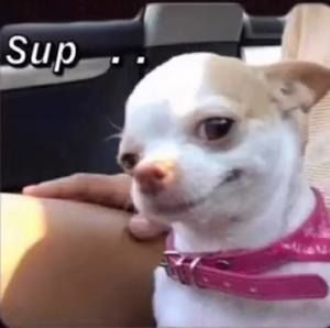 Meet your Posher, Aaron